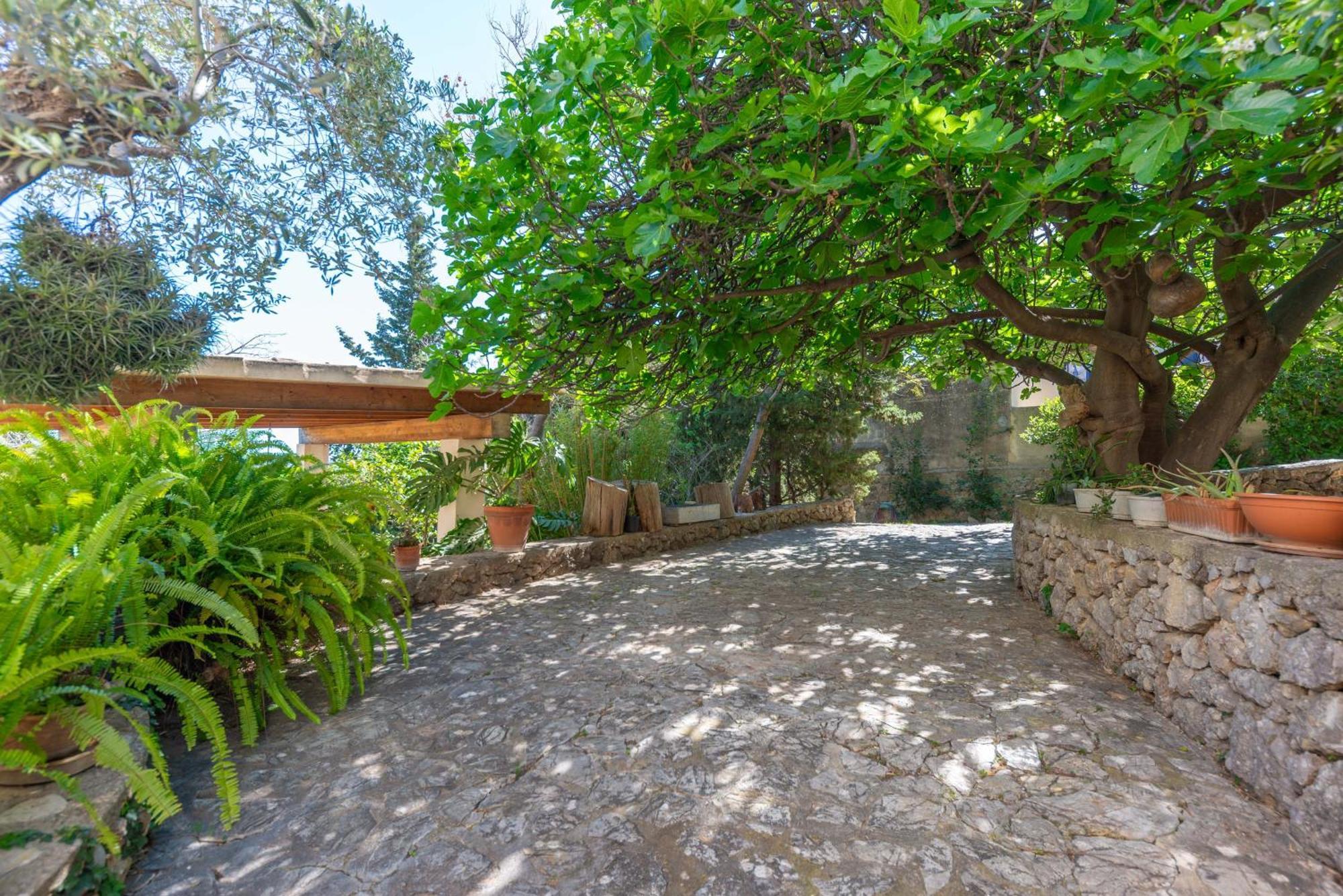Casa S'olivaret -selva- * Selva (Mallorca)